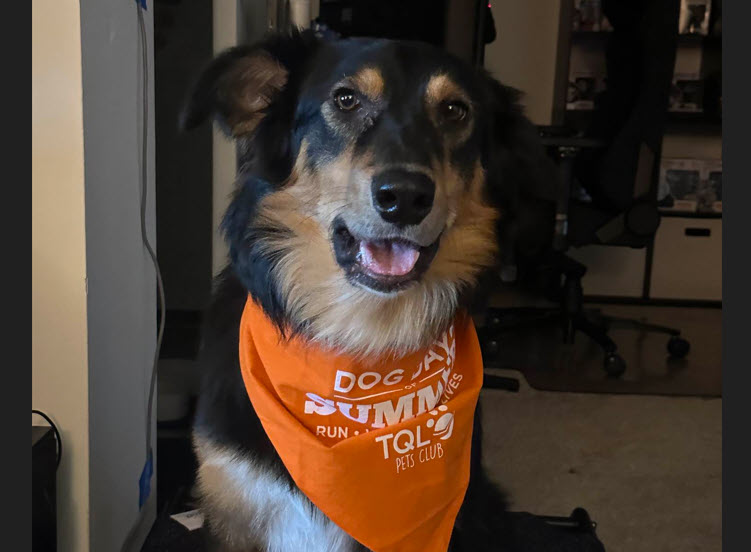 dog-8.jpg