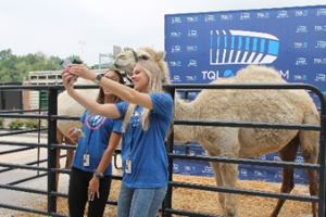 Selfie with Camel at TQL HQ
