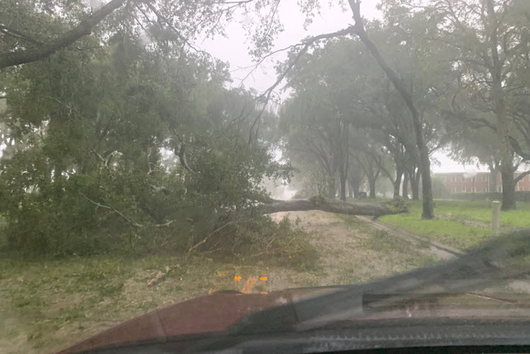Storm3.jpg